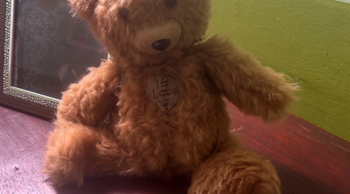 Abuelita ofrece $2 millones por encontrar osito de peluche Abuelita ofrece $2 millones por encontrar osito de peluche