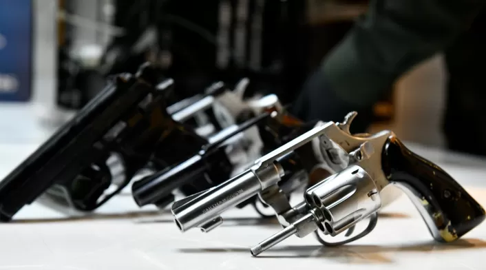 Incautación armas de fuego