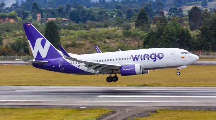 Wingo Wingo