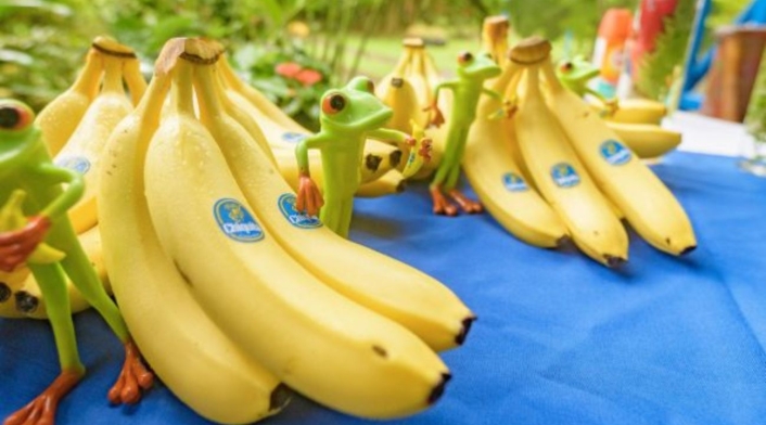 Chiquita Brands Chiquita Brands