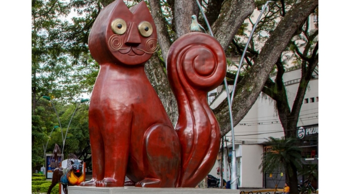 Gato del Río, Cali Gato del Río, Cali