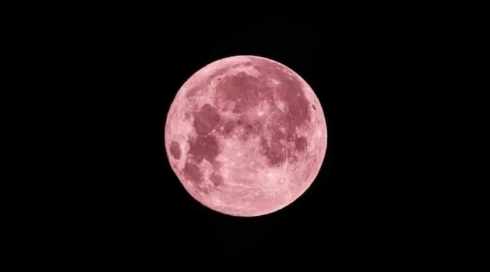 Luna de Fresa Admira la Luna de Fresa 2024 en Colombia. Descubre la hora