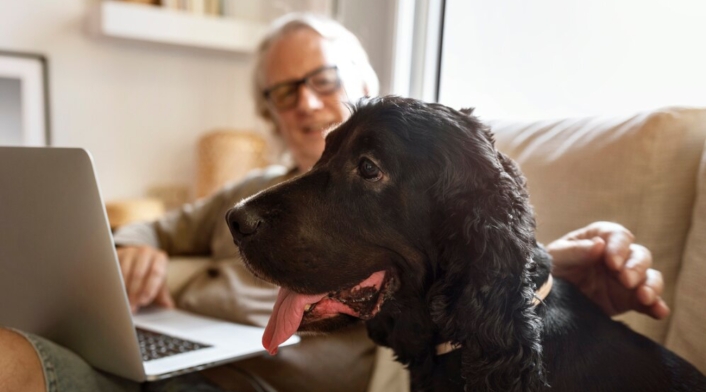 ¿A los perros les da COVID – 19? ¿A los perros les da COVID – 19?
