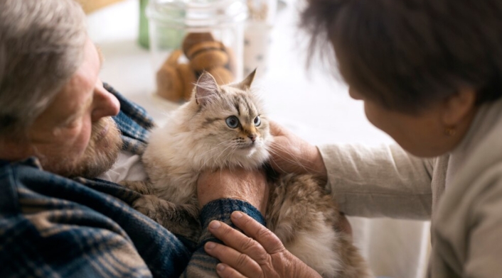 Controla a distancia a tu mascota, hijos y familiares mayores Controla a distancia a tu mascota, hijos y familiares mayores