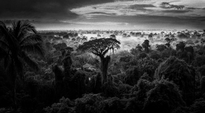 Perdidos en el Amazonas, el documental que se estrena en Max Perdidos en el Amazonas, el documental que se estrena en Max