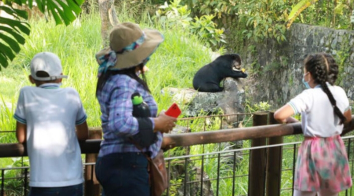Zoológico de Cali Zoológico de Cali