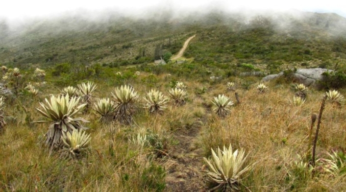 Guadalupe-Aguanoso Guadalupe-Aguanoso
