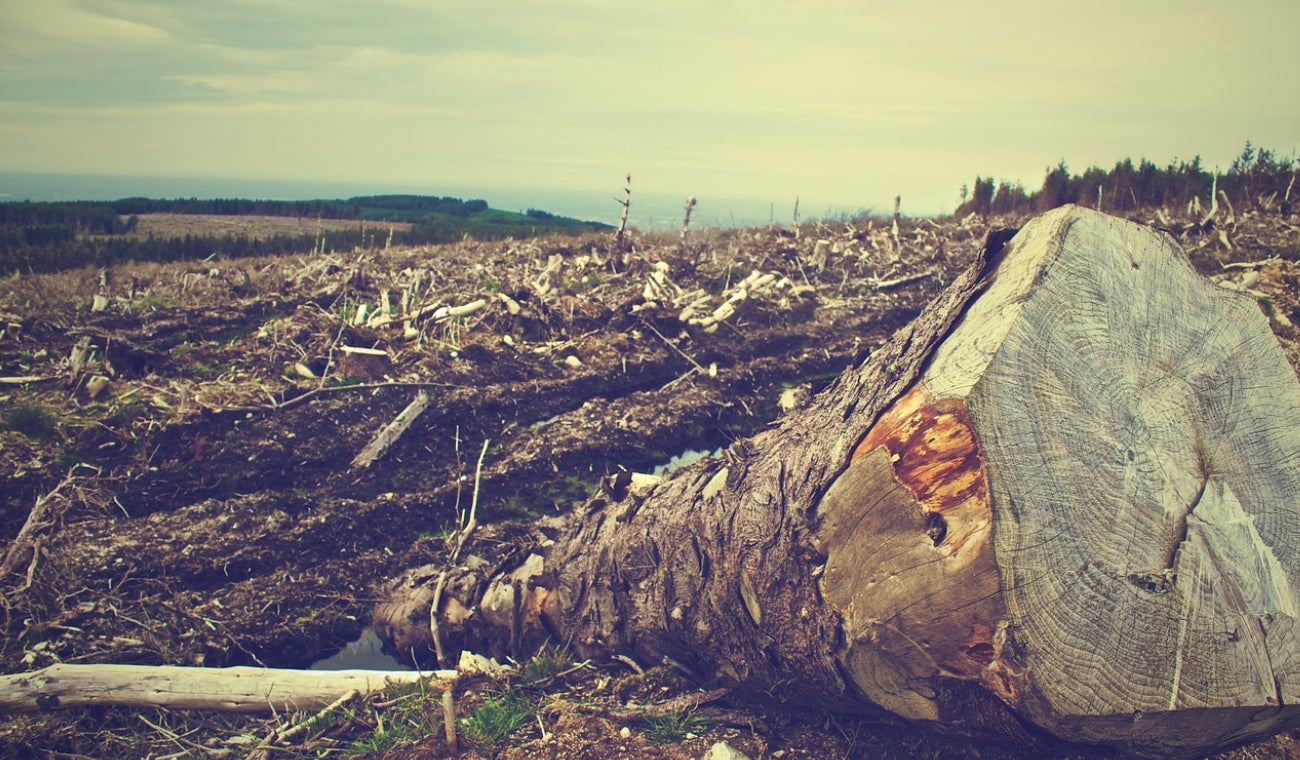 Deforestación en Colombia