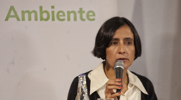 Susana Muhamad, Ministra de ambiente