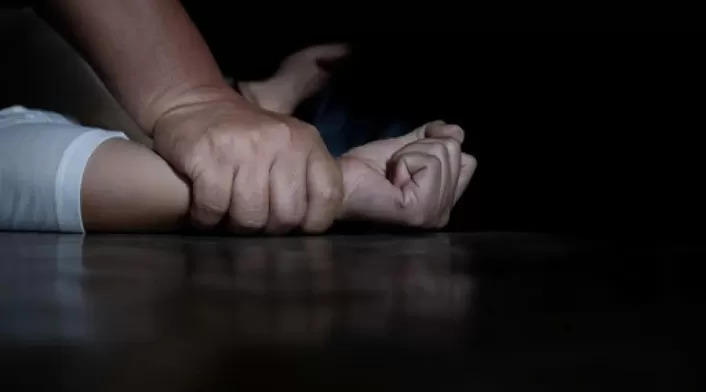 Feminicidio (referencia)