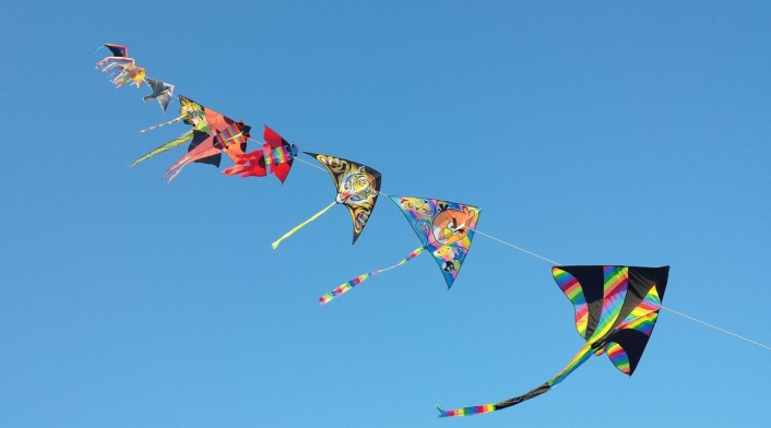 El Festival de Cometas de Villa de Leyva espera atraer a más de 40.000 visitantes durante tres días de celebración El Festival de Cometas de Villa de Leyva espera atraer a más de 40.000 visitantes durante tres días de celebración