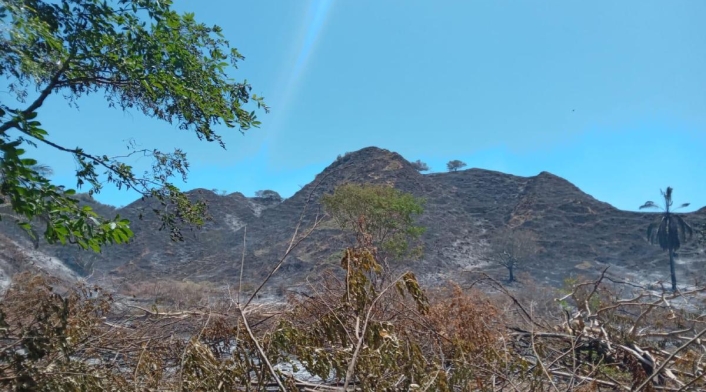 Incendios forestales Tolima | Altas temperaturas | Emergencias forestales | Agosto 2024 Incendios forestales Tolima | Altas temperaturas | Emergencias forestales | Agosto 2024