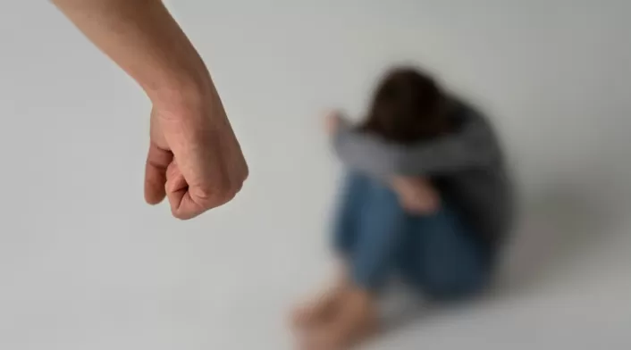Violencia contra la mujer Violencia contra la mujer