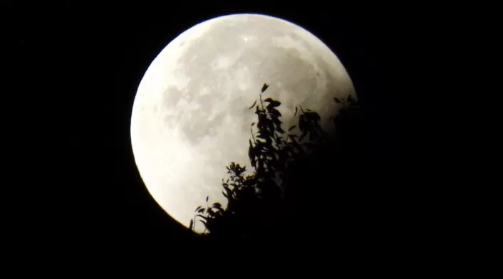 Eclipse lunar Eclipse lunar