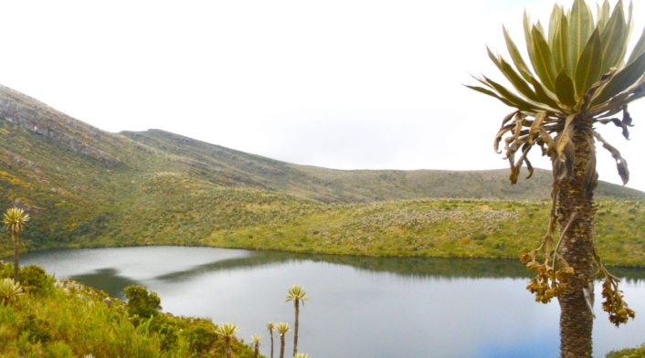 Parque Nacional Natural Chingaza Parque Nacional Natural Chingaza