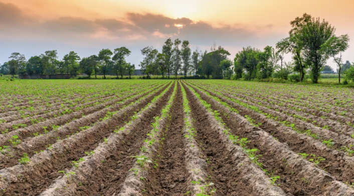 Sector agro en Colombia Sector agro en Colombia es el más perjudicado por huelga estibadores en EE.UU.
