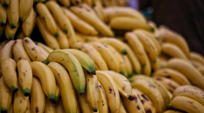 Banano Colombia exporta más de 63,7 millones de cajas de banano en 2024, superando las cifras de 2023