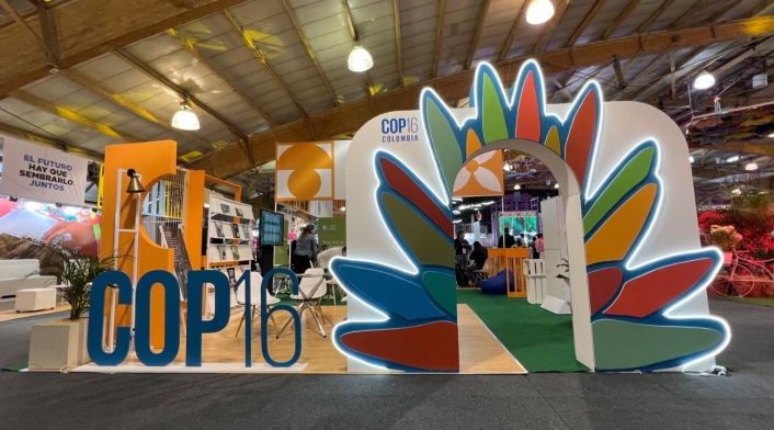 COP16 COP16
