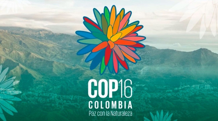 COP16 COP16