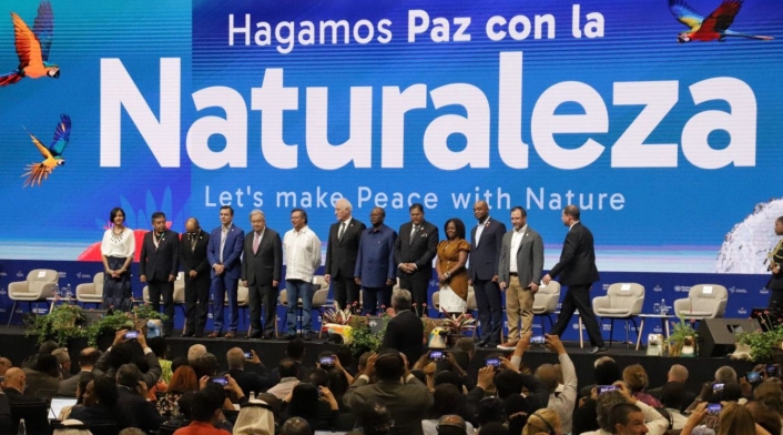 COP16 COP16