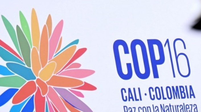 COP16 COP16