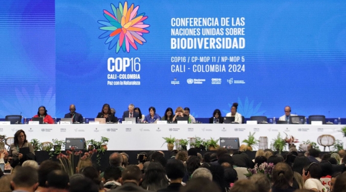 Plenaria COP16 | Cali