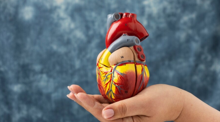 Infarto Las cardiopatías pueden ser causadas por factores genéticos y ambientales