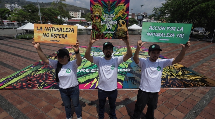Rompecabezas Greenpeace Rompecabezas Greenpeace