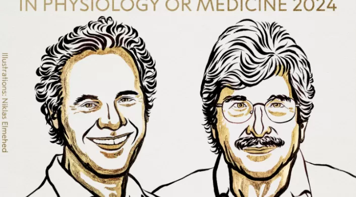 NOBEL MEDICINA 2024
