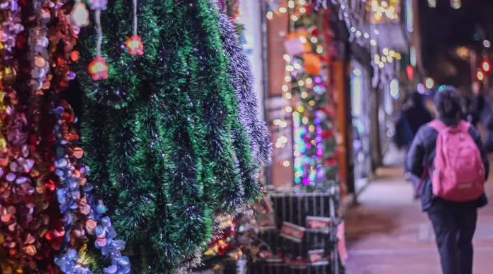 Convocatoria de Vitrinas Navideñas 2025: impulsa tu negocio y embellece tu local en Bogotá y Cundinamarca. Convocatoria de Vitrinas Navideñas 2025: impulsa tu negocio y embellece tu local en Bogotá y Cundinamarca.