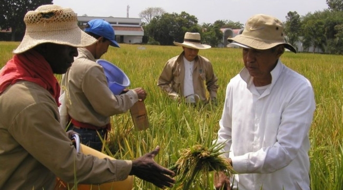 Agro Agro