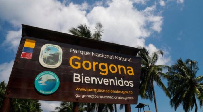 Isla Gorgona Isla Gorgona