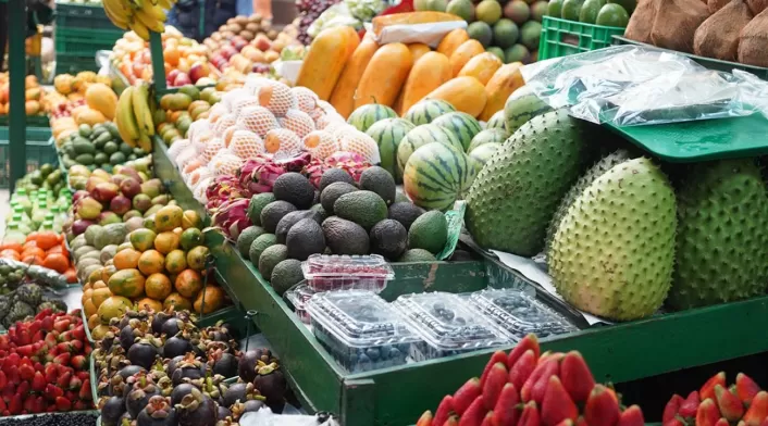Alimentos de la canasta familiar Alimentos de la canasta familiar