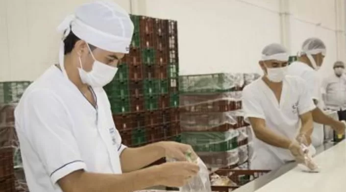 Desde de heces de animales, canastillas sucias donde se almacenan los alimentos, techos, paredes en mal estado hasta sifones sin rejillas están algunas instituciones de Santander.