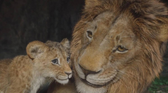 Escena de la película Mufasa Mufasa