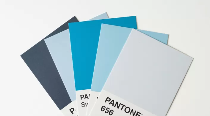 Pantone color del 2025 Pantone
