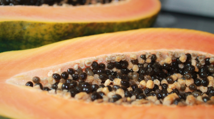 Papaya Papaya