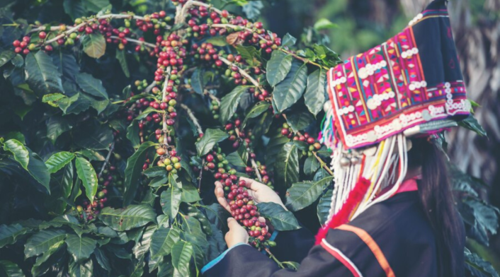 Cómo encontrar alojamiento económico para Navidad en destinos populares Cómo encontrar alojamiento económico para Navidad en destinos populares