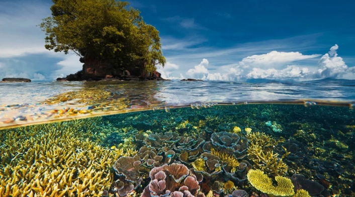 Biodiversidad Biodiversidad