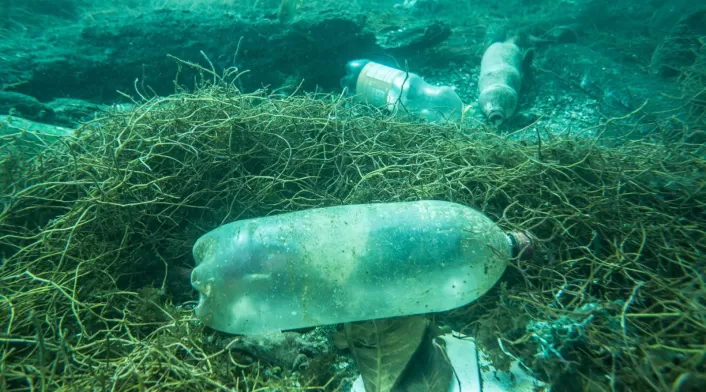 Crisis ambiental para 2025 - Plásticos