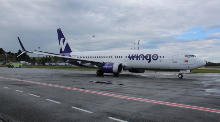 Wingo Wingo
