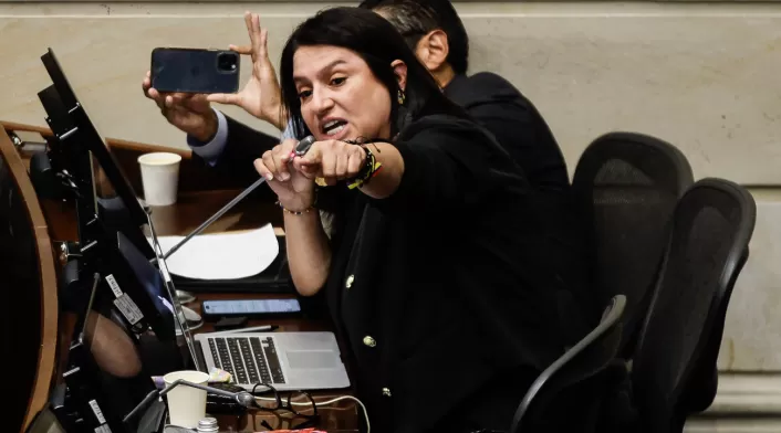Paola Holguin, Senadora