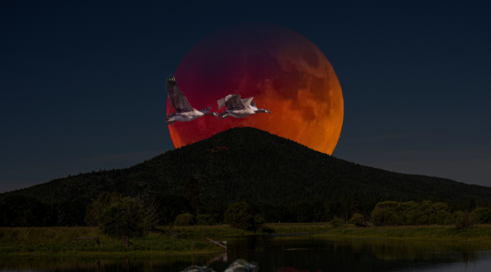 Cuántos ECLIPSES habrá en 2025 y en qué FECHAS se podrán VER Cuántos ECLIPSES habrá en 2025 y en qué FECHAS se podrán VER