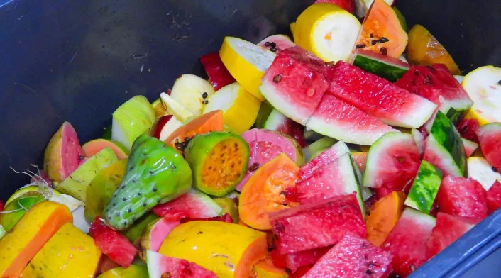 Alimentos para la fauna silvestre en Antioquia