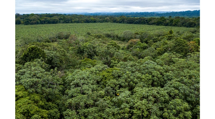 Urabá Urabá