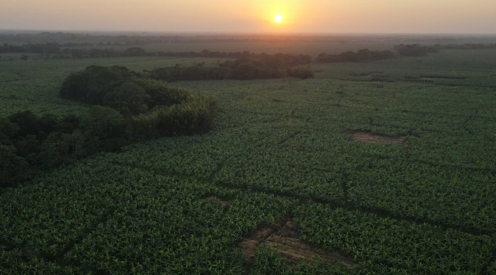 Urabá Zona de Urabá