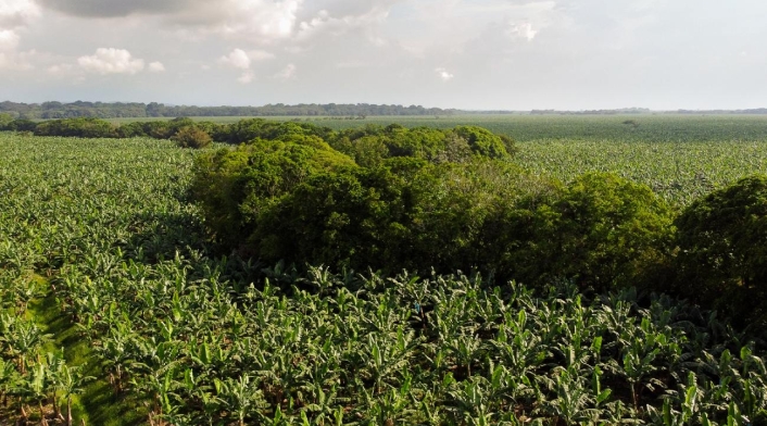 Urabá Urabá