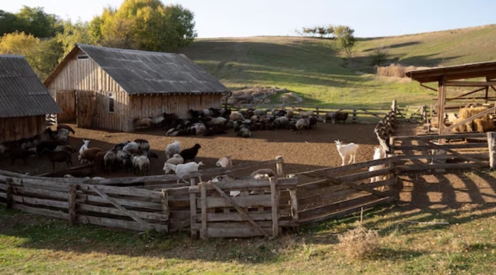 Granja en California Granja en California