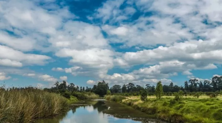 Sabana de Bogotá Sabana de Bogotá