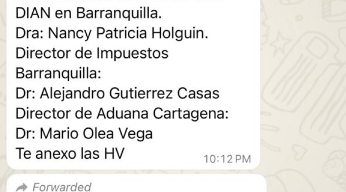 Chat de Benedetti